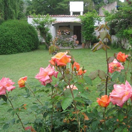 La Casa De Almirall サンタ・ロサ・デ・カラムチタ エクステリア 写真