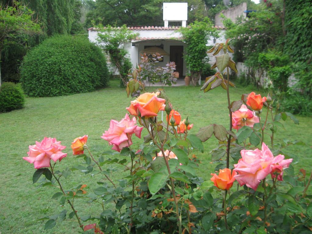 La Casa De Almirall サンタ・ロサ・デ・カラムチタ エクステリア 写真